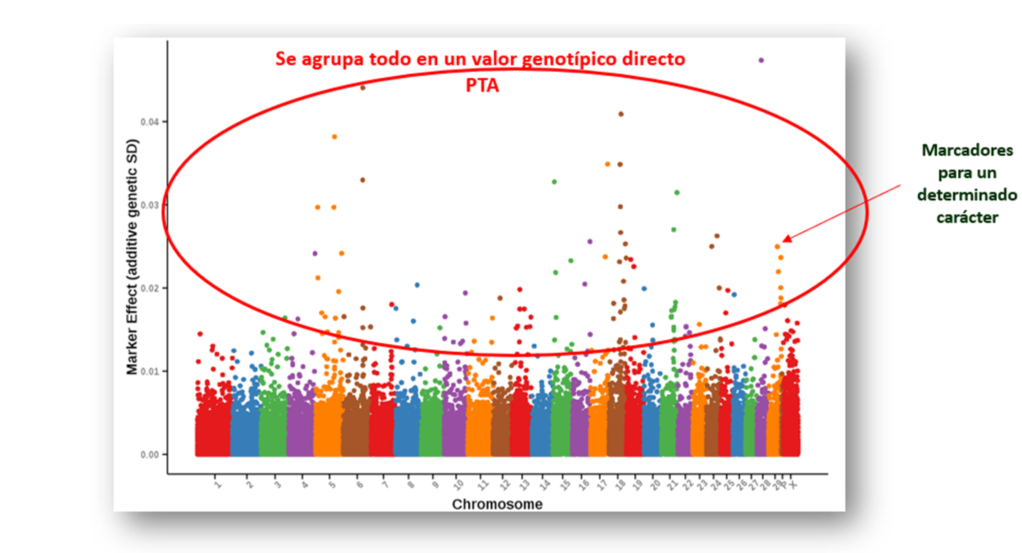 figura 1