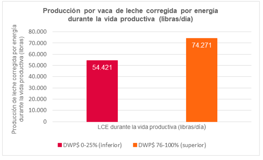 figura 1