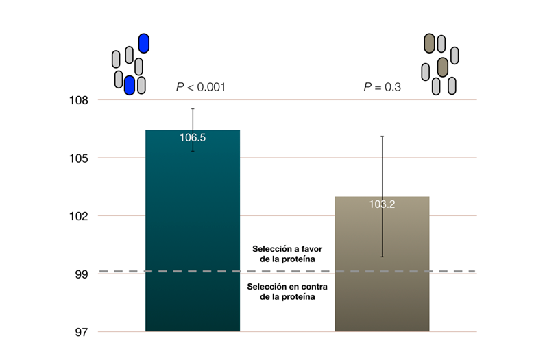 figura 2