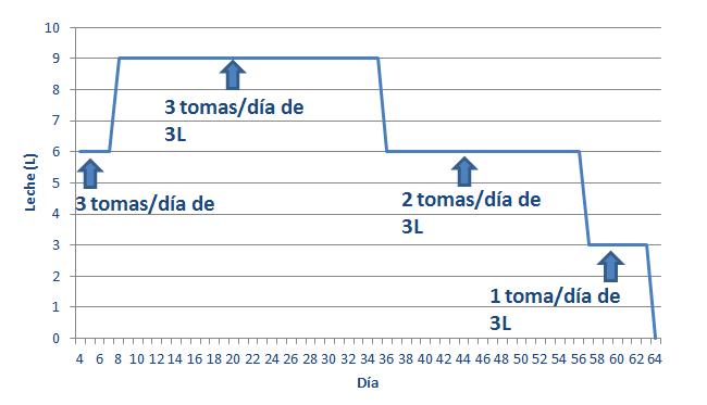 Destete