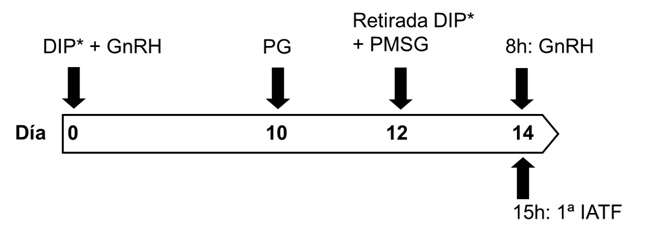 Figura 1